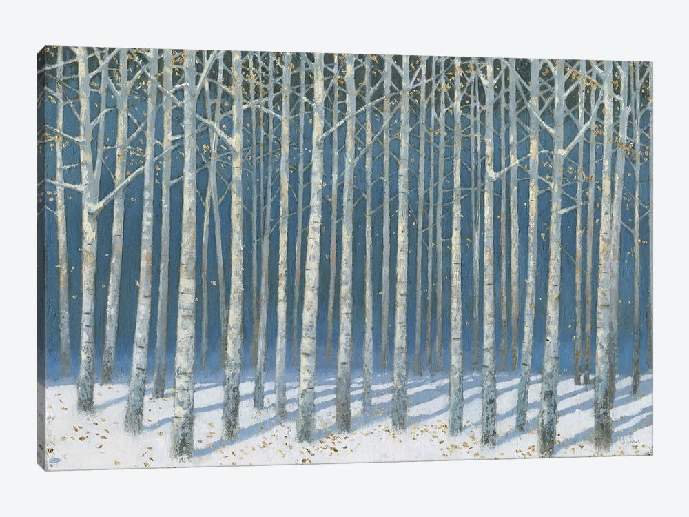 Shimmering Birches by James Wiens 1-piece Canvas Print