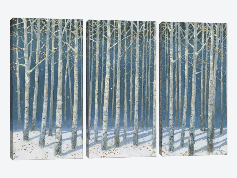 Shimmering Birches by James Wiens 3-piece Canvas Art Print