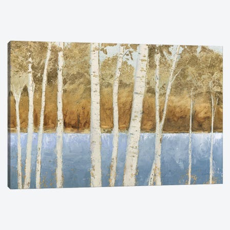 Lakeside Birches Canvas Print #JAW119} by James Wiens Canvas Print