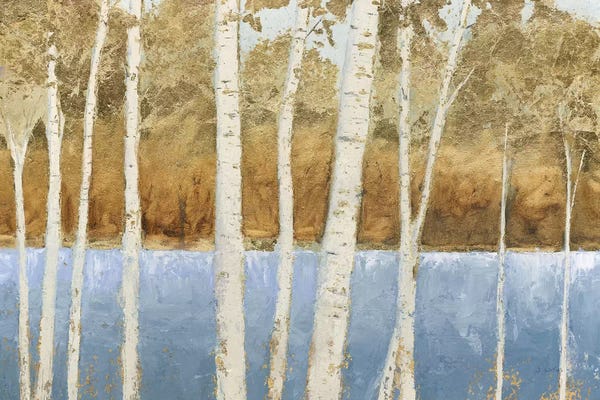 Lakeside Birches