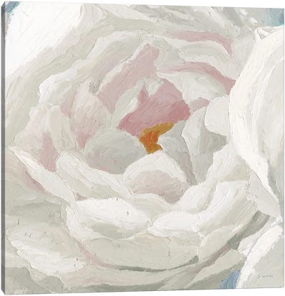 Essence of June Floral II Canvas Art Print - Peony Art