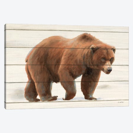 Northern Wild I on Wood Canvas Print #JAW135} by James Wiens Canvas Art