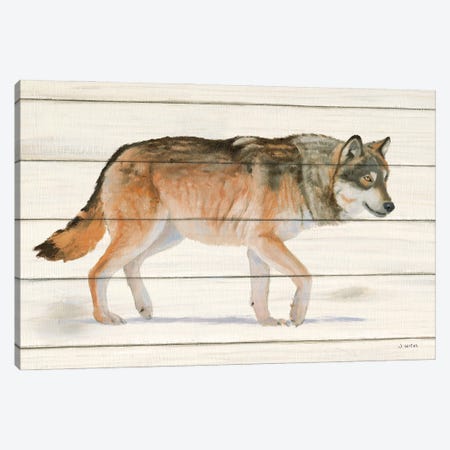 Northern Wild II on Wood Canvas Print #JAW137} by James Wiens Canvas Art