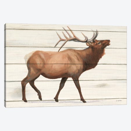 Northern Wild III on Wood Canvas Print #JAW139} by James Wiens Canvas Art Print
