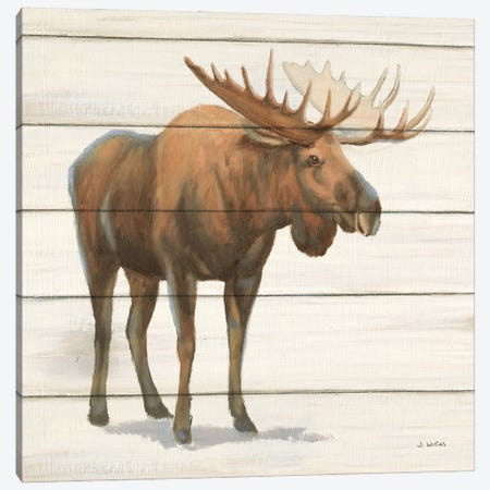 Northern Wild VI on Wood Canvas Print #JAW143} by James Wiens Canvas Wall Art