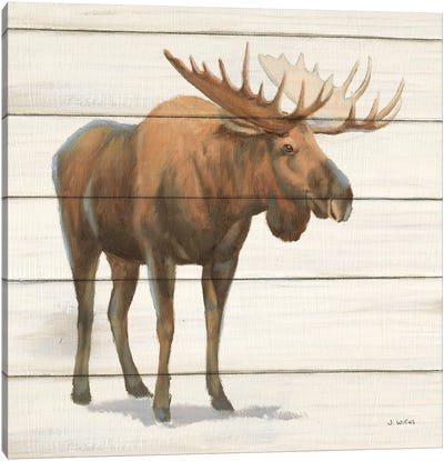 Northern Wild VI on Wood Canvas Art Print - Moose Art