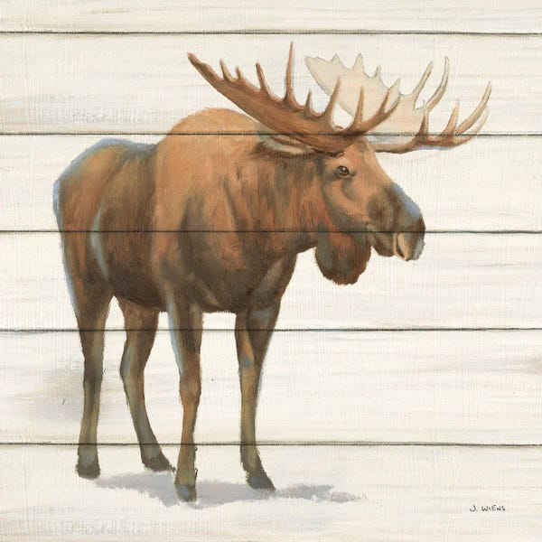 Moose: Northern Wild VI on Wood by James Wiens