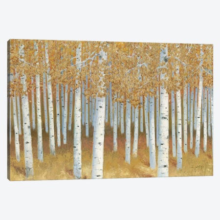 Forest of Gold Canvas Print #JAW159} by James Wiens Art Print