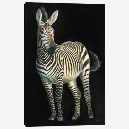 Wild and Free VI Black Canvas Print #JAW161} by James Wiens Canvas Wall Art