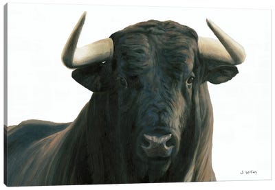 Bullish Canvas Art Print - Bull Art