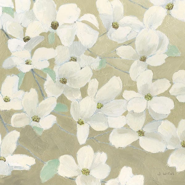 Dogwood: Dogwood Delight by James Wiens