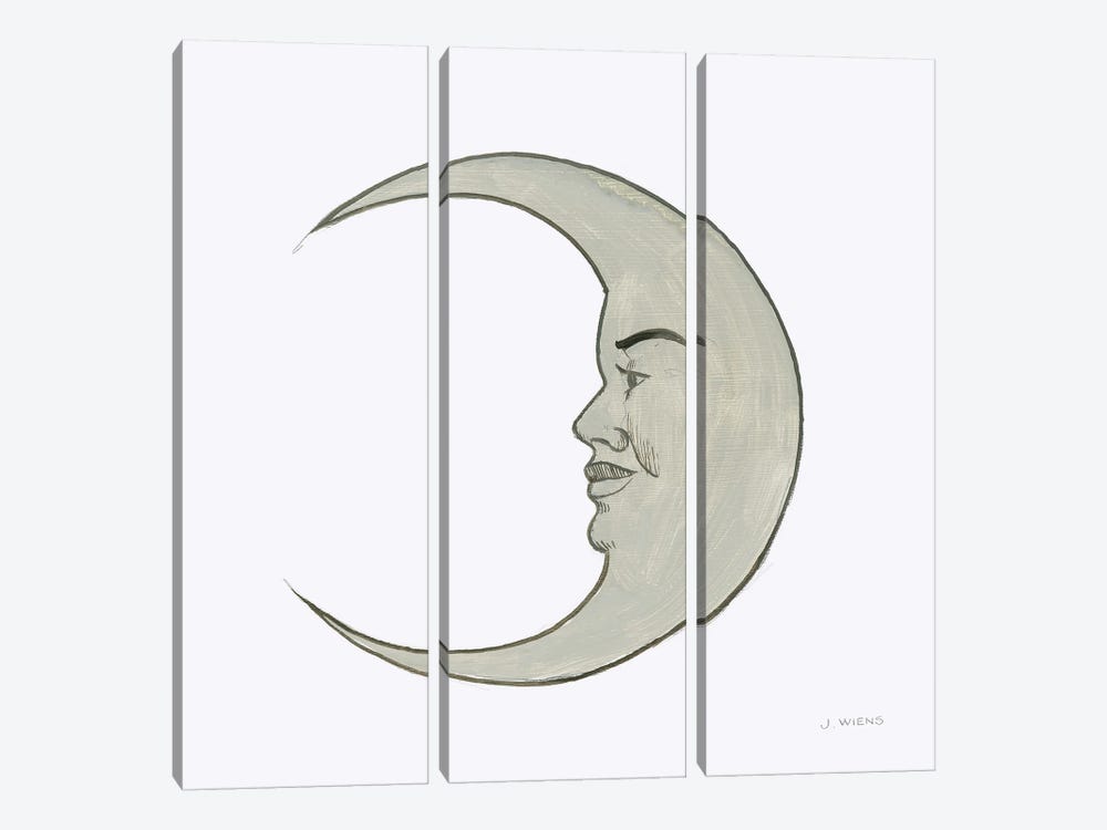Moon by James Wiens 3-piece Canvas Wall Art