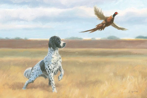 German Shorthaired Pointers: On Point by James Wiens