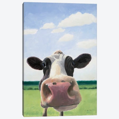 Funny Cow Canvas Print #JAW171} by James Wiens Canvas Art Print