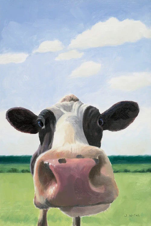 Funny Cow