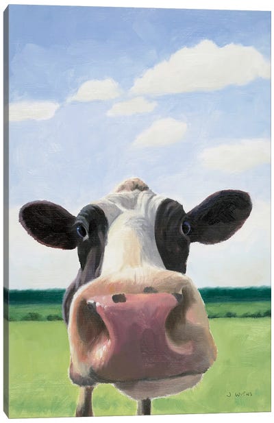 Funny Cow Canvas Art Print - James Wiens