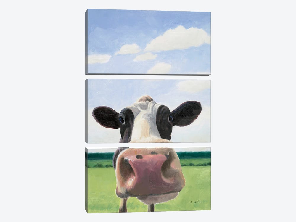 Funny Cow by James Wiens 3-piece Canvas Art Print
