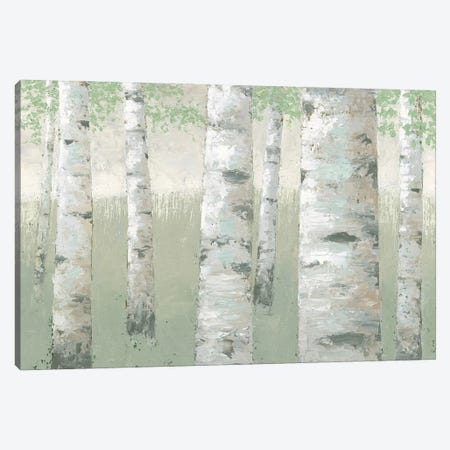 Spring Birch Canvas Print #JAW174} by James Wiens Canvas Wall Art