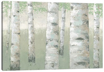 Spring Birch Canvas Art Print - James Wiens