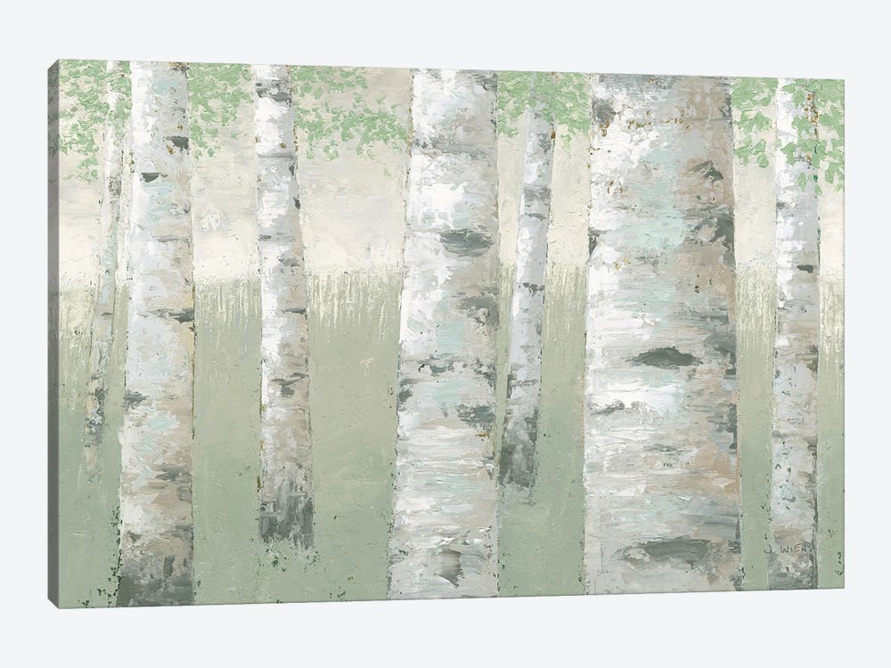 Spring Birch by James Wiens 1-piece Canvas Wall Art