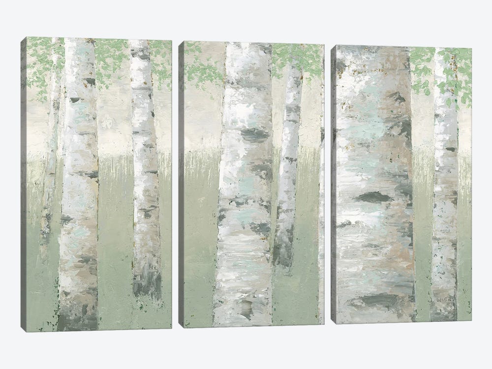 Spring Birch by James Wiens 3-piece Canvas Artwork