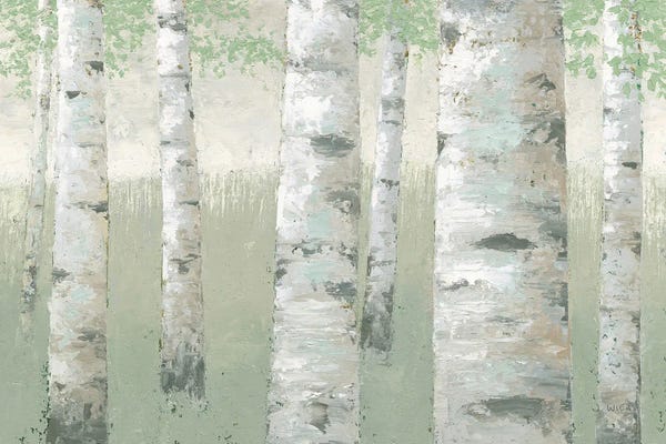 Birch Trees: Spring Birch by James Wiens