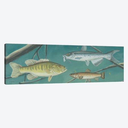 Fresh Catch III Canvas Print #JAW175} by James Wiens Canvas Artwork