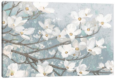 Dogwood Blossoms II In Blue Gray Crop Canvas Art Print - Calm & Sophisticated Living Room Art