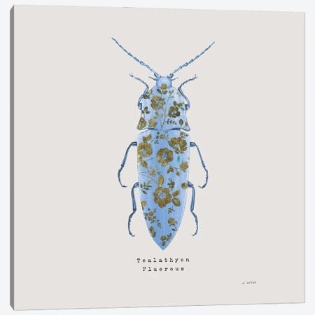 Adorning Coleoptera VIII Sq Blue Canvas Print #JAW20} by James Wiens Canvas Wall Art