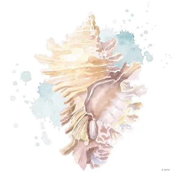 Sea Shells: Salento Coast IV by James Wiens