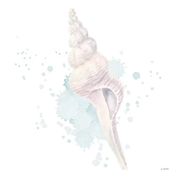 Sea Shells: Salento Coast V by James Wiens