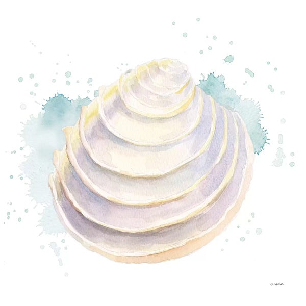 Sea Shells: Salento Coast VI by James Wiens