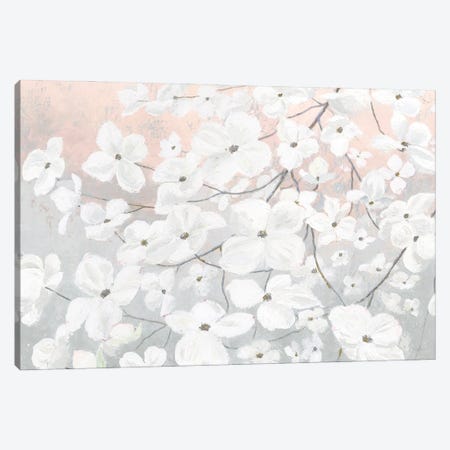 Bringing in Blossoms Blush Canvas Print #JAW27} by James Wiens Art Print