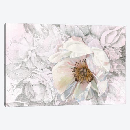 Blooming Sketch Canvas Print #JAW33} by James Wiens Art Print