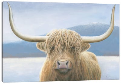 Highland Cow Canvas Art Print - Highland Cow Art