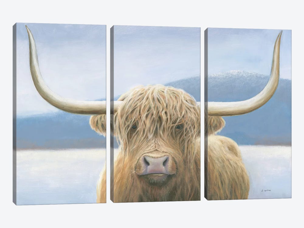 Highland Cow by James Wiens 3-piece Canvas Print