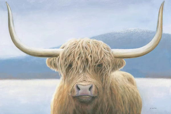 James Wiens: Highland Cow by James Wiens