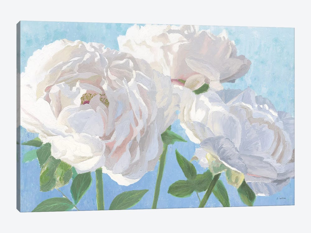 Essence of June I by James Wiens 1-piece Canvas Print