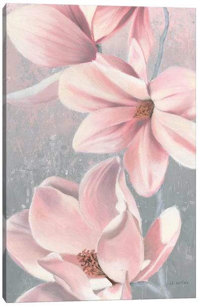 Sunrise Blossom II Canvas Art Print - Magnolia Art