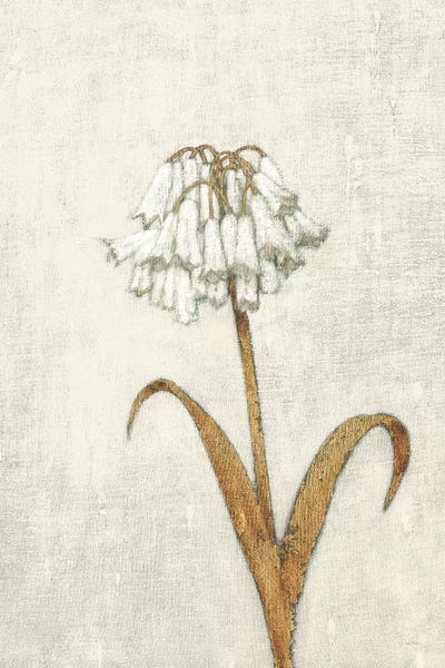 Modern Farmhouse Bedroom: Shimmering Summer II Ivory by James Wiens