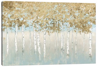 Shimmering Forest Canvas Art Print - Birch Tree Art