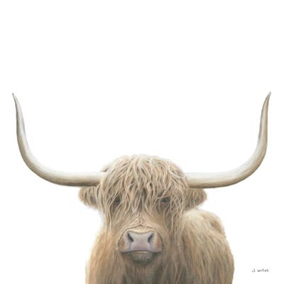 Shop Highland Cow  Canvas Artwork by James Wiens | iCanvas from icanvas on Openhaus