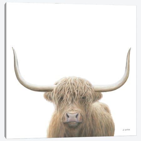 Highland Cow  Canvas Print #JAW76} by James Wiens Canvas Artwork