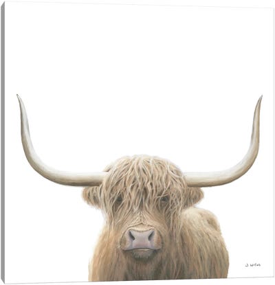 Highland Cow  Canvas Art Print - James Wiens