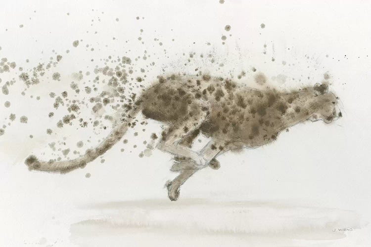 Cheetah II by James Wiens wall art