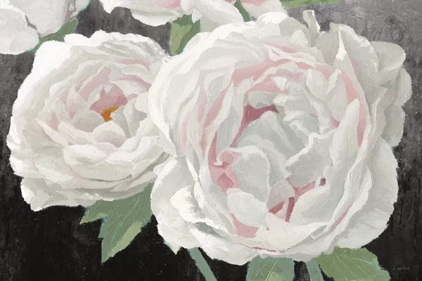 Peonies: Essence of June II Black by James Wiens