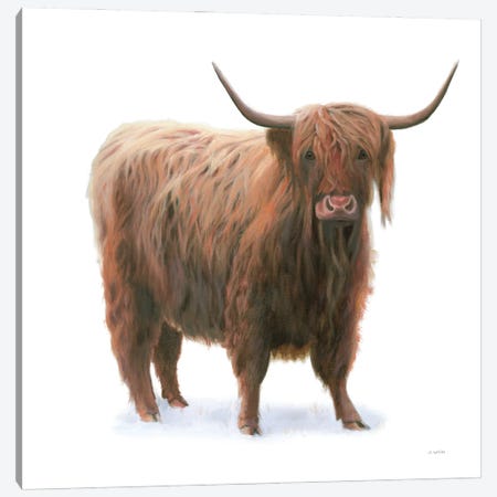 King of the Highland Fields on White Canvas Print #JAW99} by James Wiens Canvas Art Print