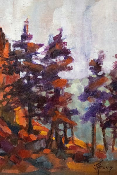 Pine Trees: Gunnison River Cliffs by Jody Ahrens