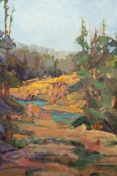Pine Trees: Headwaters by Jody Ahrens