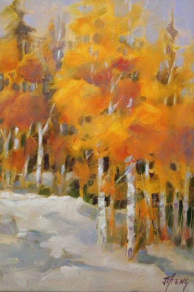 Birch Trees: A Day Outside by Jody Ahrens